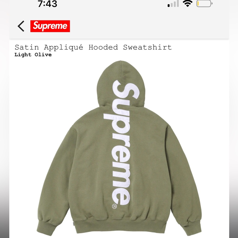 Supreme Satin Hoodie
